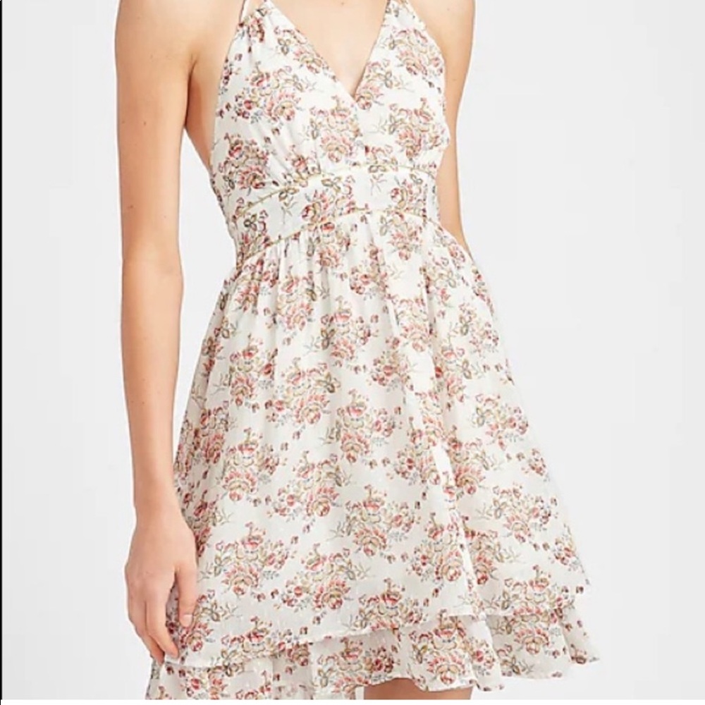 EXPRESS Floral Dress